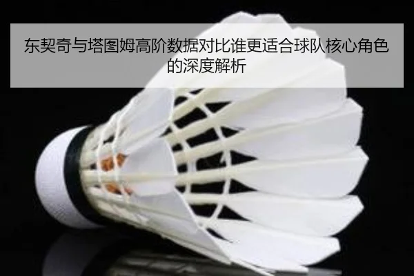 东契奇与塔图姆高阶数据对比谁更适合球队核心角色的深度解析